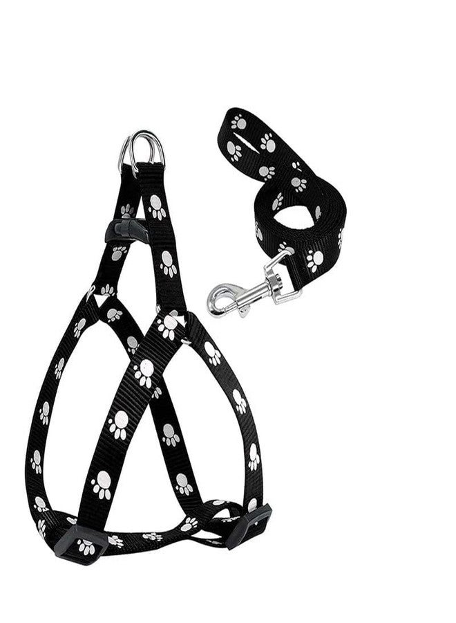 Pups&Pets Nylon Printed Puppy and Small Dog Harness & Leash 0.5 inch - Small (Adjustable Chest Size - 13-19 inch) (Colour May Vary) - Image 2